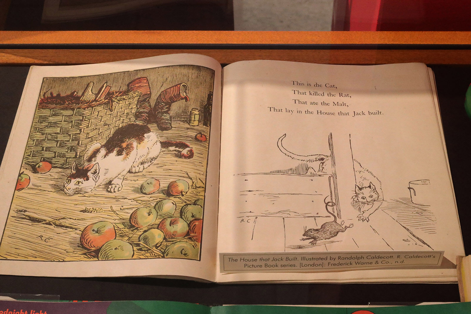 Book with illustrations